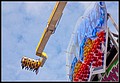 114.jpg(161 KB)