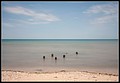 136.jpg(284 KB)