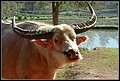 097.jpg(122 KB)